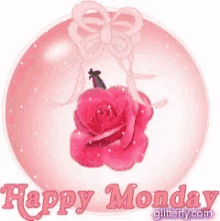 a happy monday graphic with a pink rose and a bow