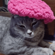 a gray cat wearing a pink hat looks at the camera