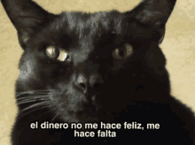 a black cat with the words el dinero no me hace feliz me hace falta