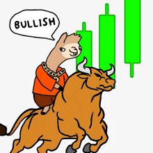 a cartoon of a llama riding a bull with a speech bubble saying bullish