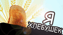 a picture of a loaf of bread with the words " хлебушек " written below it