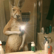 a kangaroo taking a selfie in front of a mirror