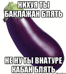 a large purple eggplant with a green stem on a white background with russian writing