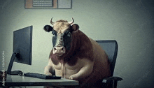 a bull is sitting at a desk in front of a computer monitor .