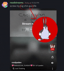 a screenshot of a chat with the name coolpaden on it