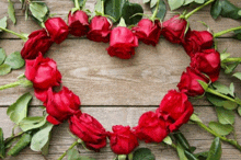 red roses are arranged in the shape of a heart on a wooden table .