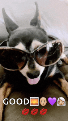 a picture of a dog wearing sunglasses and the words good