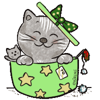 a drawing of a cat in a green bag with stars and the name obirene