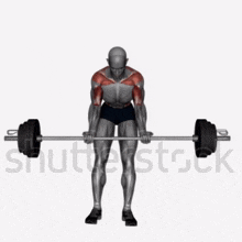 a man is holding a barbell in his hands while standing in front of a white background .