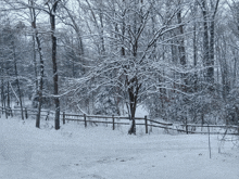 a snowy forest with a wooden fence and trees