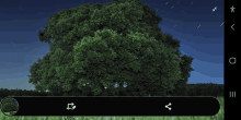 a phone screen shows a tree and a starry sky