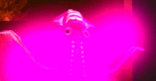 a pink glowing squid is floating in the dark