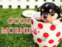 a puppy is sitting in a polka dot cup with the words `` good morning '' written on it .