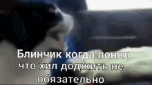 a blurred image of a cat with russian writing