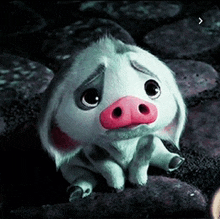 a pig with a sad look on its face