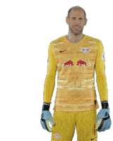 a soccer player wearing a yellow jersey with red bulls on it