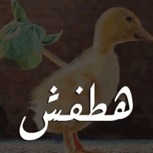 a duck is carrying a green bag on its back with arabic writing behind it