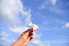 a hand is holding a flower against a blue sky