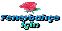 a logo for fenerbahce igin with a red rose