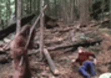 a blurry picture of a man sitting in the woods .