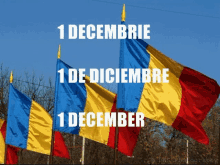 a row of flags with the words 1 decembe 1 de diciembre and 1 december