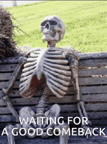 a skeleton is sitting on a bench with the words waiting for a good comeback below it