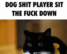 a black cat is sitting on a table with the words `` dog shit player sit the fuck down '' above it .