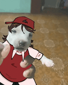 a person is holding a small white dog wearing a red shirt and a red hat