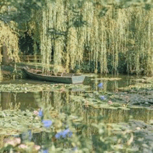 a boat is floating on top of a pond surrounded by willow trees