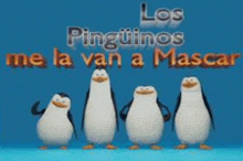 a group of penguins standing next to each other with the words los pingüinos me la van a mascar written above them