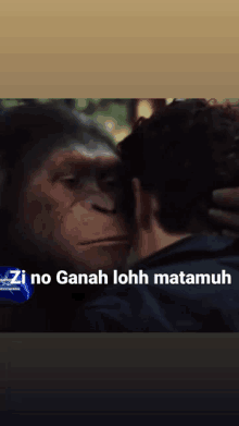 a picture of a chimpanzee and a man with a caption that says zi no ghana lohhh matamuh