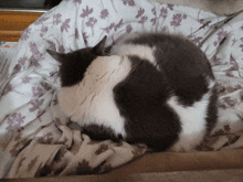 a black and white cat sleeping on a blanket with flowers