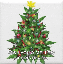 a christmas tree made out of marijuana leaves with the words wish you a mellow christmas written below it