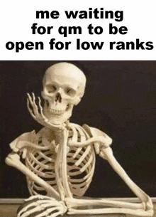 a skeleton is sitting in front of a blackboard waiting for qm to be open for low ranks