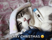 a cat with a thermometer on its neck and the words merry christmas