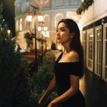 a woman in a black dress is standing next to a bush on a sidewalk at night .