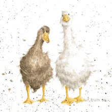 two ducks are standing next to each other in a painting by the daisy box