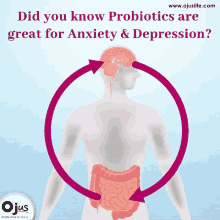 an illustration of a person with the words did you know probiotics are great for anxiety and depression