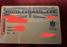 a british columbia services card with a red border