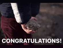 a person is holding a rock in their hands with the words `` congratulations '' written on the bottom of the image .