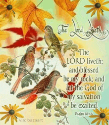 the lord liveth and blessed be my rock , and let the god of my salvation be exalted