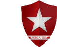 a red shield with a white star and the words forza css