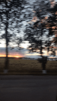 a blurry picture of a sunset with trees in the background