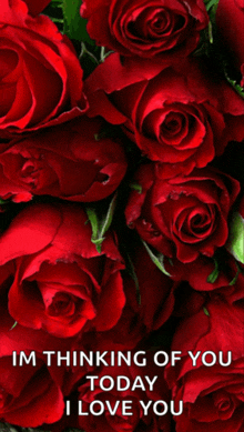 a bunch of red roses with the words " im thinking of you today i love you "