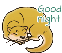 a cartoon drawing of an otter with the words good night written below it