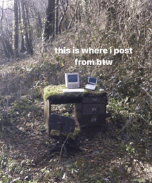 a computer sits on a mossy desk in the woods with the words this is where i post from btw below it