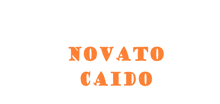 a white background with orange text that says novato caido