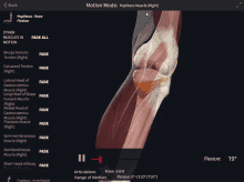 a computer screen shows a knee joint and a list of muscles