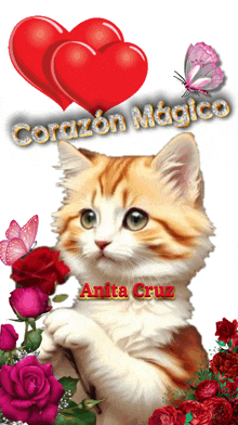 a picture of a cat with the name anita cruz written on the bottom