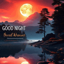 a picture of a lake with the words good night sweet dreams on it